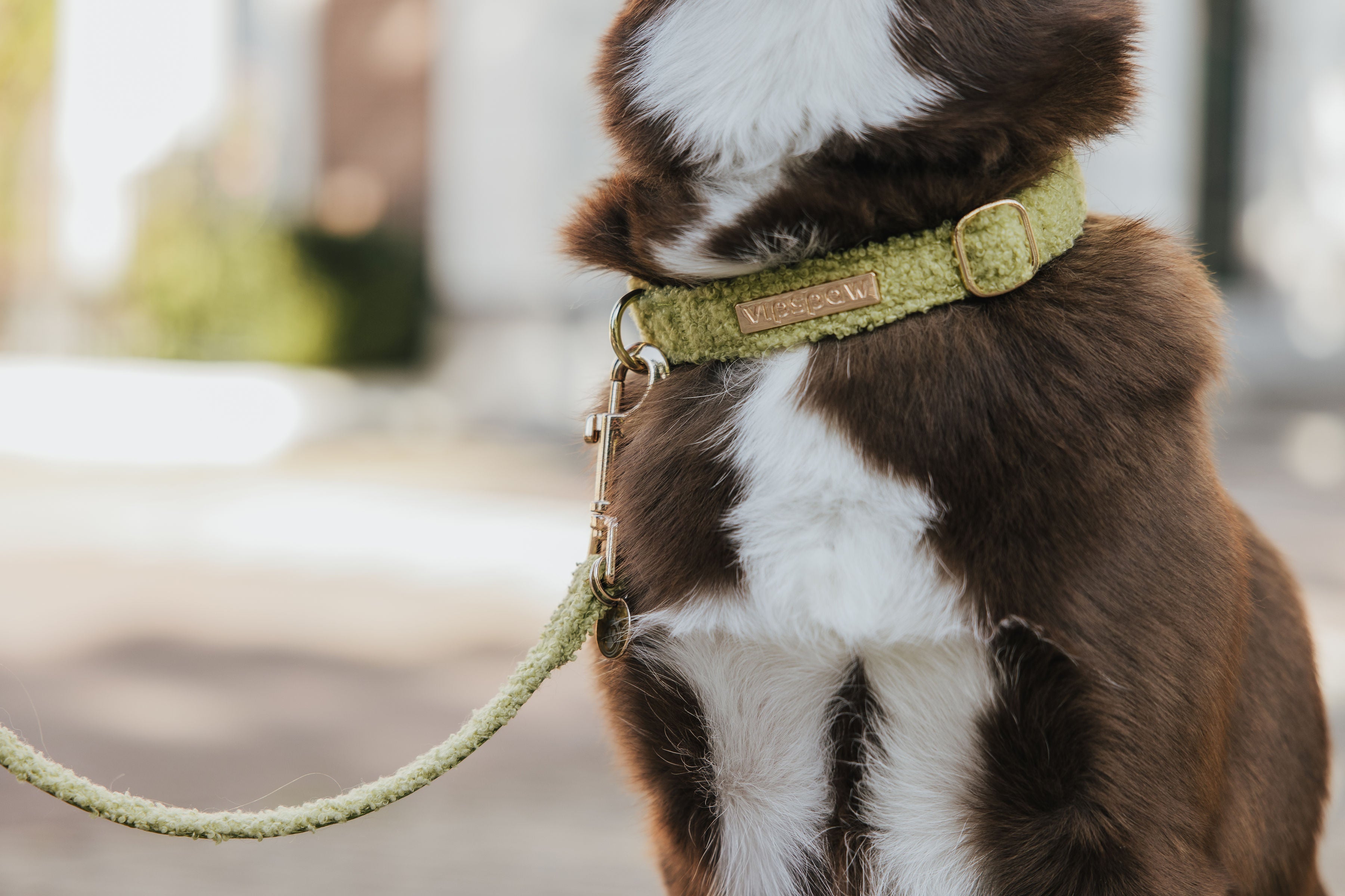 Collar Sets