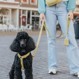 Teddy Dog Mom Bag- Green