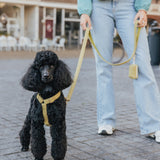 Teddy Harness - Green