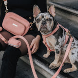 Teddy Dog Mom Bag - Peach