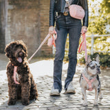 Teddy Harness - Peach