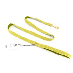 Teddy dog leash forest, top image