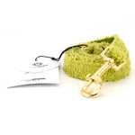 teddy dog leash forest, detail image