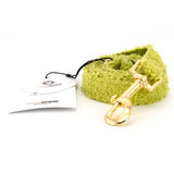 teddy dog leash forest, detail image