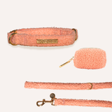 Teddy Collar Walking Set - Peach