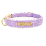 teddy halsband lila, voorkant foto
