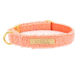 Salmon collar, front image