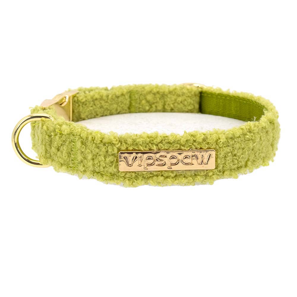 Teddy halsband forest, voorkant foto