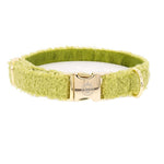 teddy halsband forest, achterkant foto