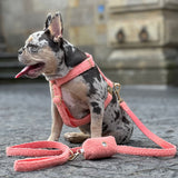 Teddy Harness - Peach