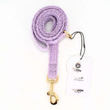 Teddy Dog leash Lila, Image above